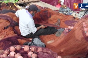 مجتمع/ مهنة الصيد…باب رزق يصارع أمواج البحر