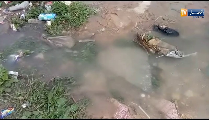 تبسة/ تسربات مائية تغرق الأحياء و “العين” ناشفة فالدار