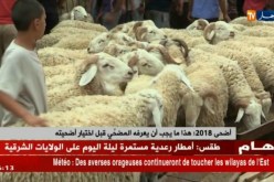صحة: عشية عيد الأضحى..حملة وقائية حول مخاطر الكيس المائي