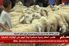 صحة: عشية عيد الأضحى..حملة وقائية حول مخاطر الكيس المائي