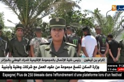 العاصمة: تفكيك جماعة أشرار تتكون من 06 أشخاص بالرمال الذهبية بزرالدة
