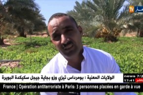 غرداية: تجارب ناجحة في إنتاج الفول السوداني مقابل قلة الإمكانيات