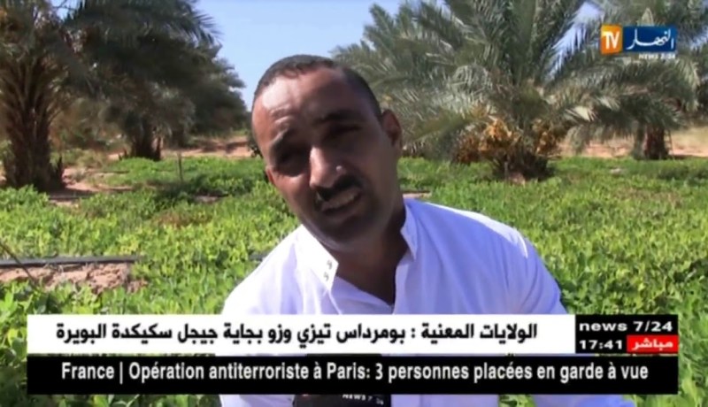 غرداية: تجارب ناجحة في إنتاج الفول السوداني مقابل قلة الإمكانيات