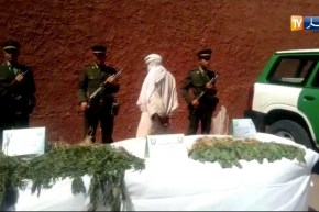 صور لكمية المخذرات التي تم حجزها في أدرار