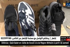 جمارك: حجز 3 حاويات 40 قدم تحتوي على 40 ألف وحدة أحذية مقلدة بميناء العاصمة