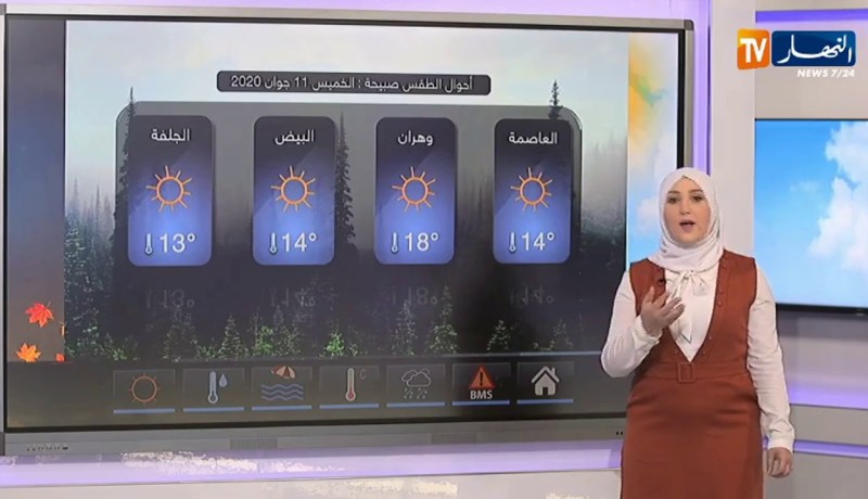 أحوال الطقس / جو ربيعي على أغلب مناطق الوطن