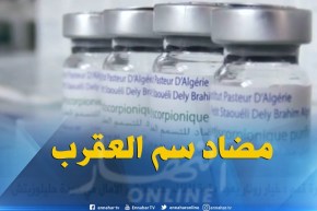 صحة : هكذا يتم إستخراج المصل المضاد للتسمم العقربي