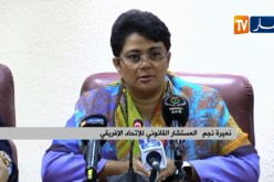 هذا ما قالته المستشارة القانونية للإتحاد الإفريقي بخصوص إستقالة المبعوث الأممي للصحراء الغربية