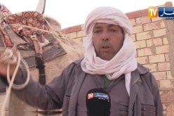 غرداية: هكذا يختار مهاريست الصحراء جمال السباق
