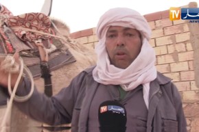 غرداية: هكذا يختار مهاريست الصحراء جمال السباق