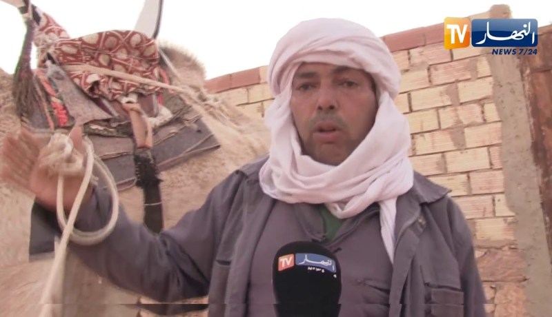 غرداية: هكذا يختار مهاريست الصحراء جمال السباق