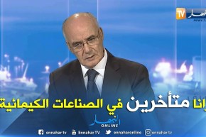 يوسف يوسفي: لدينا تأخر في صناعة المواد الكيميائية