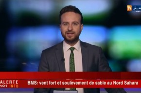 طقس: نشرية خاصة تحذر من رياح قوية وزوابع على مناطق شمال الصحراء