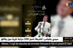 الديوان الوطني للثقافة والإعلام يطلق برنامجه الصيفي لولاية وهران