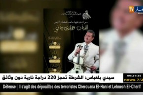 الديوان الوطني للثقافة والإعلام يطلق برنامجه الصيفي لولاية وهران