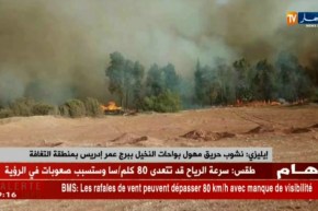 إيليزي: نشوب حريق مهول بواحات النخيل ببرج عمر إدريس بمنطقة التغافة