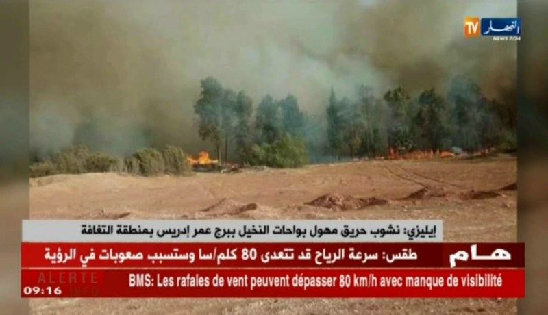 إيليزي: نشوب حريق مهول بواحات النخيل ببرج عمر إدريس بمنطقة التغافة