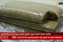 الشلف: توقيف شخص ناشط ضمن شبكة إجرامية مختصة في الإتّجار بالمخدرات