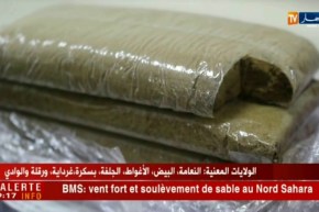 الشلف: توقيف شخص ناشط ضمن شبكة إجرامية مختصة في الإتّجار بالمخدرات