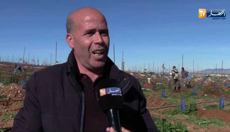 فلاحة: خبايا الزراعة.. تقنيات وخبرات أجنبية ساهمت في إنتاج باهر ووفير