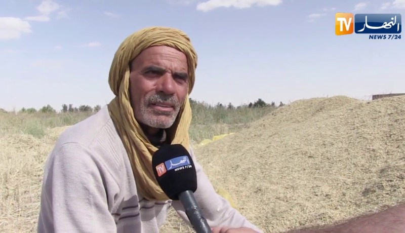 الوادي: توقعات بمضاعفة إنتاج الحبوب وسط عراقيل يتكبدها الفلاح بالشكشاك