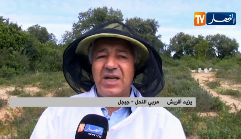 جيجل: الرش العشوائي لبعض الادوية والمبيدات الفلاحية يتسبب في نفوق النحل