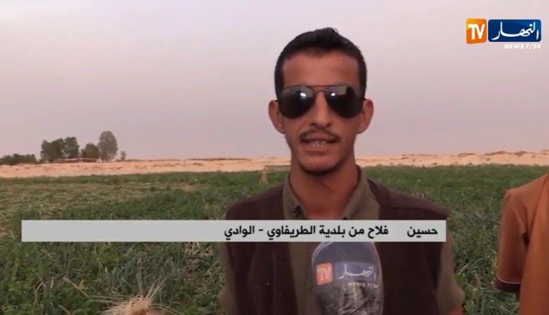 الوادي : خسائر بالجملة تلحق بمنتجي البصل بعد إنهيار أسعاره