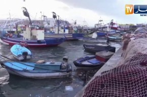 طقس: هبوب رياح قوية تصل سرعتها 80 كلم/سا على هذه الولايات