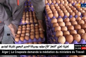 تيسمسيلت: منتجو البيض يتنصلون من إرتفاع السعر ويلقون بثقلهم على الوسطاء