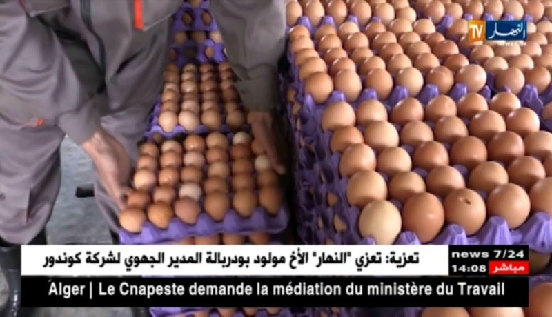 تيسمسيلت: منتجو البيض يتنصلون من إرتفاع السعر ويلقون بثقلهم على الوسطاء