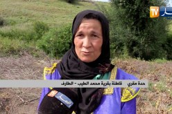 الطارف: 4 شقيقات لم يفارقن مكانهن منذ 40 سنة