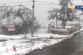 البليدة: جبال الشريعة تكتسي حلة بيضاء