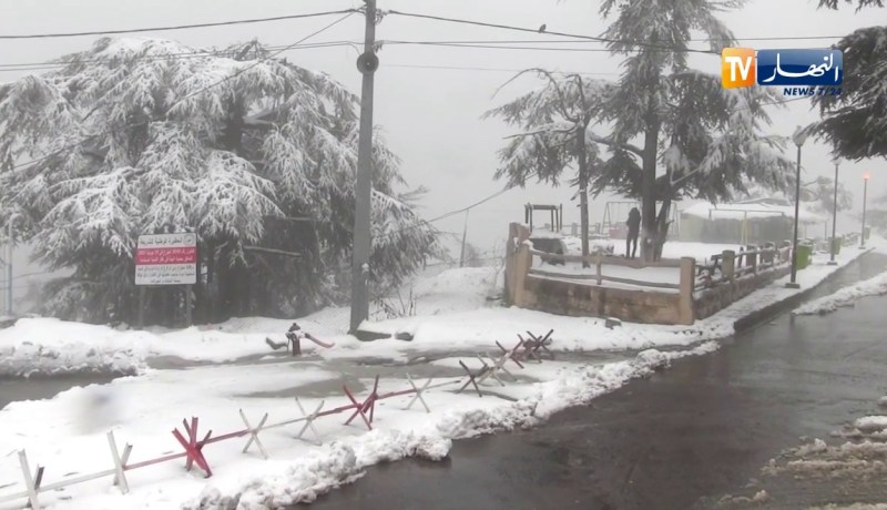 البليدة: جبال الشريعة تكتسي حلة بيضاء