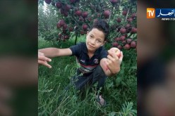 باتنة: وفاة طفل بطلق ناري ببلدية فم الطوب