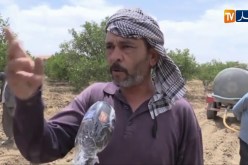 غليزان : الجفاف يهدد النشاطات الفلاحية بمنطقة الشرايطية