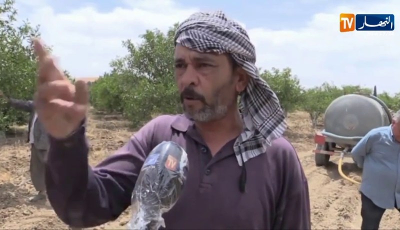 غليزان : الجفاف يهدد النشاطات الفلاحية بمنطقة الشرايطية
