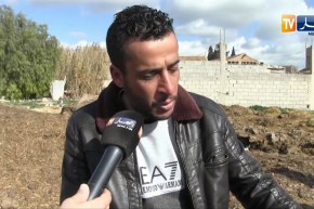 ميلة: إتساع رقعة نفوق الماشية إلى 3 بلديات بالجهة الجنوبية