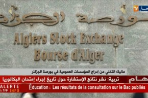 مالية: التخلي عن إدراج المؤسسات العمومية في بورصة الجزائر