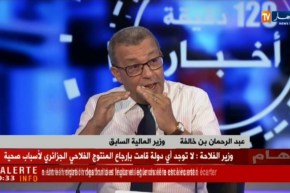 900 ألف مغترب يزور الجزائر .. كم بلغت عائدات الجزائر من العملة الصعبة