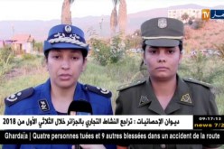 البليدة: توقيف 8 أشخاص و حجز أسلحة و مخدرات في عمليات مشتركة بين الدرك و الشرطة