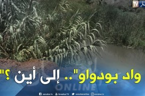 تلوث: كارثة واد بودواو.. عندما يصبح الواد مكان لصب مخلفات الفلاحين والتجار