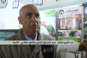 فلاحة: التأمين على المحاصيل الزراعية.. خارج أولويات الفلاح