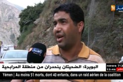 المدية/ القردة مهددة بأمراض خطيرة بسبب الرمي العشوائي للنفايات