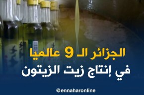 الجزائر تصنف كتاسع منتج عالمي لزيت الزيتون بنحو 80 ألف طن سنويا