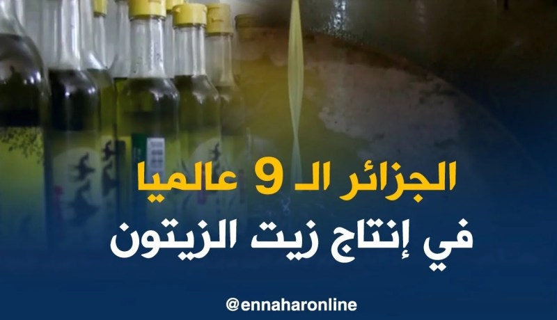 الجزائر تصنف كتاسع منتج عالمي لزيت الزيتون بنحو 80 ألف طن سنويا
