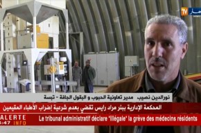 تبسة/ محطة عصرية لإنتاج و معالجة البذور للقضاء على معاناة الفلاحين