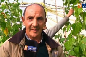 جيجل/ دمج تربية أسماك المياه العذبة في الزراعة..تجربة رائدة تحتاج المزيد من الدعم