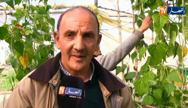 جيجل/ دمج تربية أسماك المياه العذبة في الزراعة..تجربة رائدة تحتاج المزيد من الدعم