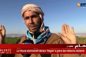 غليزان/ غلق سوق الجملة للخضر و الفواكه يعرقل تسويق الإنتاج الفلاحي