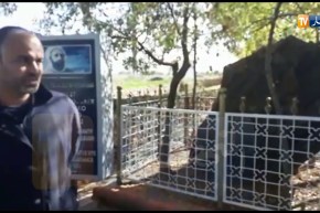 شكيب خليل يزور مكان مبايعة الأمير عبد القادر ويغرس “شجرة الدردار” بمعسكر